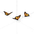 insect butterfly 3d model