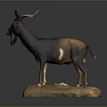 Detailed Life Sized Brown Horned Goat Taxidermy Standing on Stone Base