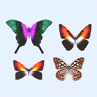 butterfly animal flying creature 3d model