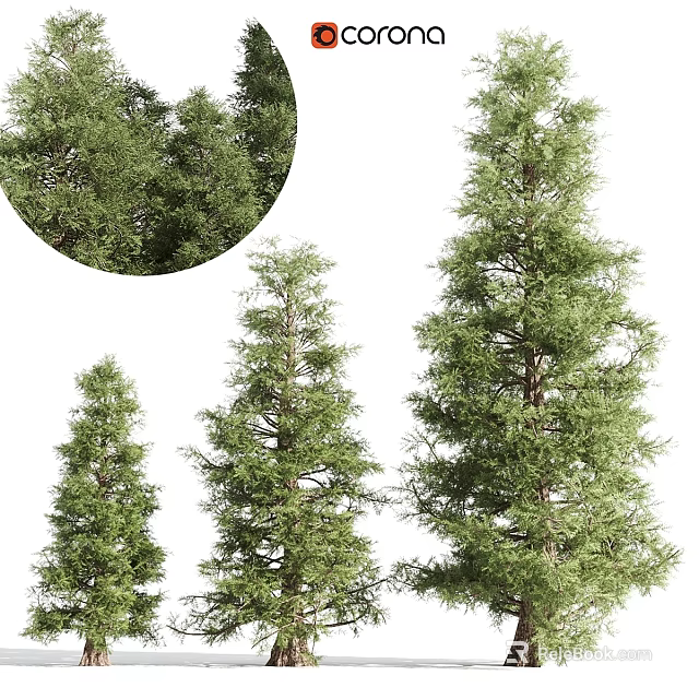 Evergreen Trees In Different Sizes With Lush Green Foliage And Natural Look 3d model 