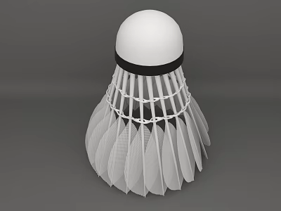 Badminton Shuttlecock Sports Equipment White Feather With Black Ring And Rubber Head 3d model