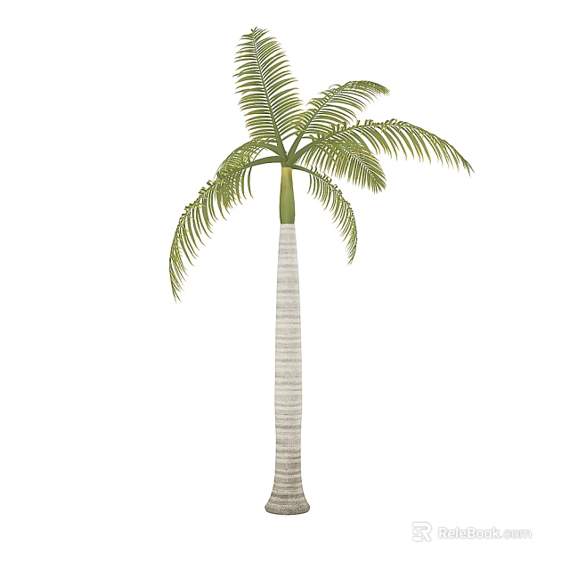 Tall Palm Tree With Striped Trunk And Feathery Green Fronds 3d model 