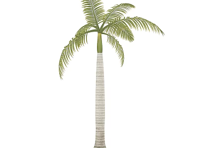 Tall Palm Tree With Striped Trunk And Feathery Green Fronds 3d model