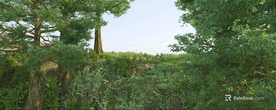 Scenic Lush Hillside With Towering Trees And Vibrant Vegetation Under Open Sky 3d model 