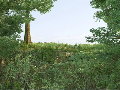 Scenic Lush Hillside With Towering Trees And Vibrant Vegetation Under Open Sky 3d model