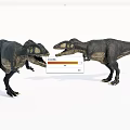 Two Large Reptile Dinosaurs Facing Each Other With Open Mouths 3d model