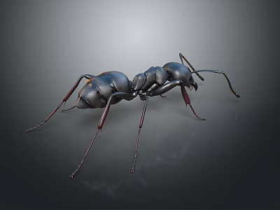 Detailed 3D Rendered Metallic Ant With Realistic Features On Dark Background 3d model