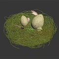 Natural Brown Twig Nest Holding White Eggs Against Dark Background