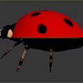 Realistic Ladybug Flying Insect With Red Shell Black Spots On Gray Background 3d model