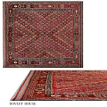Traditional Square Rug with Intricate Geometric Patterns and Red Background Design 3d model