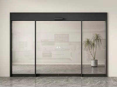 Modern Glass Sliding Door With White Wall Gray Floor And Potted Plant 3d model