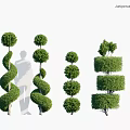 Green Plant Wall Featuring Various Topiary Shaped Trimmed Green Plants Arrangement