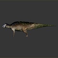 Modern Dinosaur Embolosaurus Jurassic Pterosaur 3d model