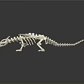 Detailed Dragon Skeleton Model Assembled With White Building Blocks Against Dark Background