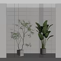 Textured Glass Brick Wall With Geometric Patterns And Green Plant Reflection