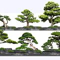 Sculpted Arbor Varieties In Garden Landscape With Stone And Green Moss