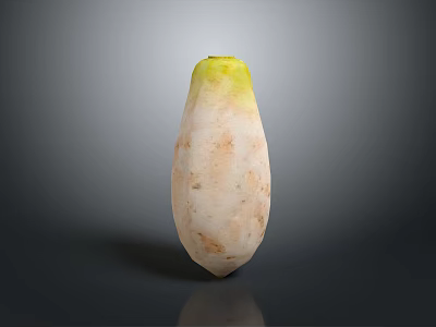 Fresh Daikon Radish with Green Top and White Root on Dark Background 3d model