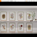Modern Botanical Wall Art Prints With Gold Frames And Decor Accents 3d model