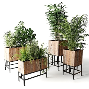 Modern gardening sketch plant interior decoration green landscape 3d model