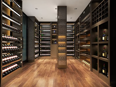 Elegant Wine Cellar Interior Design With Wooden Floors And Illuminated Wine Racks 3d model