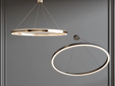Double Modern Circular Pendant Lights With Metallic Frame And Glowing Ring Design 3d model
