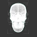 Human Skull Anatomical Structure With Eye Sockets Nasal Cavity And Teeth
