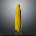 Fresh Yellow Sweet Corn Cob With Juicy Kernels As Healthy Natural Food Choice