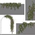 Lush Green Vines With Purple Flowers Hanging Twisting Climbing And Covering Garden Archway