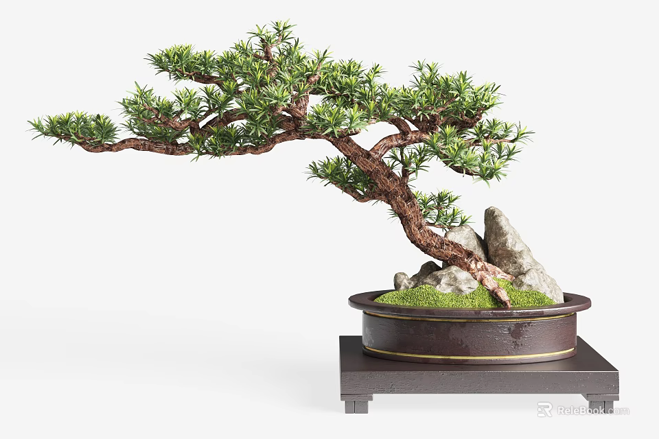 Bonsai Tree With Curved Pine Trunk Moss Rocks And Ceramic Pot On Wooden Stand 3d model 