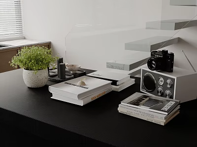 Minimalist Desk Setup With Stacked Books Green Plant And Classic Camera 3d model