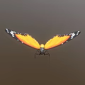 Flying Butterfly With Orange Wings Black Edges And White Spots On Brown Background