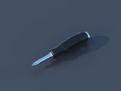 Professional Hardware Screwdriver With Black Ergonomic Handle And Sharp Metal Flathead Tip 3d model
