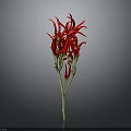 Decorative Red Chili Peppers With Green Stems On Grey Background For Home Use