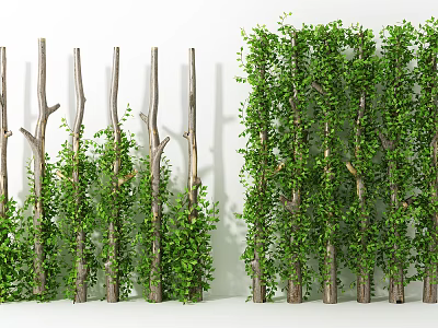 Natural Green Plant Partition With Wooden Poles And Lush Foliage Design 3d model