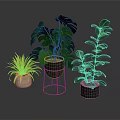 Various Indoor Houseplants With Green Leaves In Decorative Pots And Stand