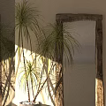 Black Hanging Chair With Cushion Ropes In Indoor Setting With Potted Plants Natural Light