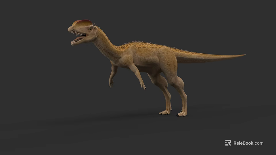 Realistic 3D Theropod Dinosaur Model with Red Head Crest and Tan Body in Standing Posture 3d model 
