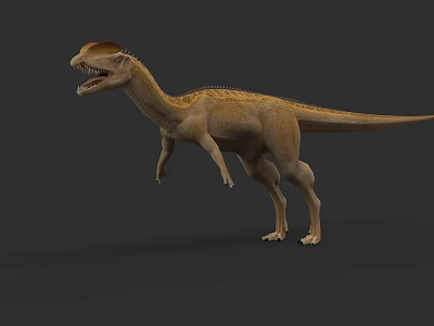 Realistic 3D Theropod Dinosaur Model with Red Head Crest and Tan Body in Standing Posture 3d model