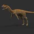 Realistic 3D Theropod Dinosaur Model with Red Head Crest and Tan Body in Standing Posture
