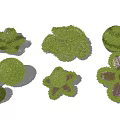Decorative Trimmed Bushes in Various Shapes Like Spheres and Flowers for Garden Landscaping Design