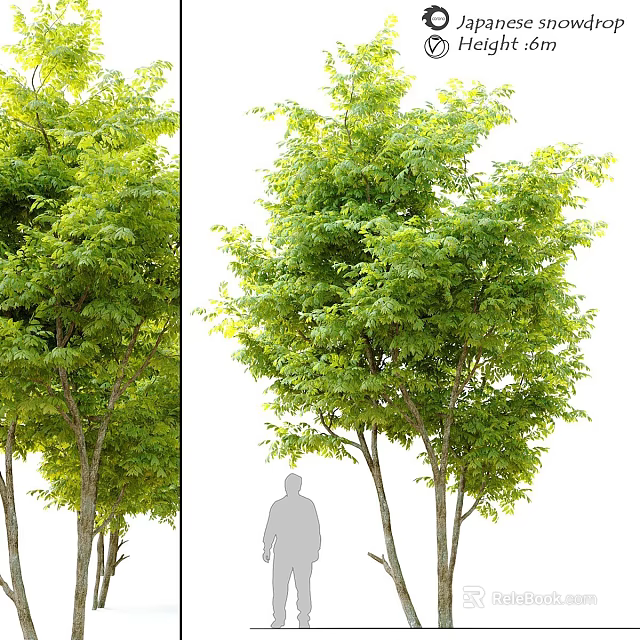 Green Leafy Trees Decorative Ornament Set For Home Garden Decoration 3d model 