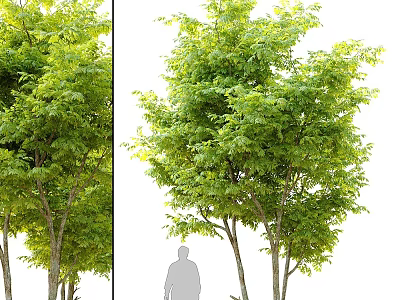 Green Leafy Trees Decorative Ornament Set For Home Garden Decoration 3d model