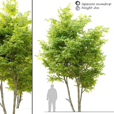 Green Leafy Trees Decorative Ornament Set For Home Garden Decoration 3d model