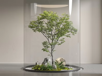 Indoor Miniature Garden Decoration With Transparent Glass Cloche Small Tree Stones Moss And Pebbles 3d model