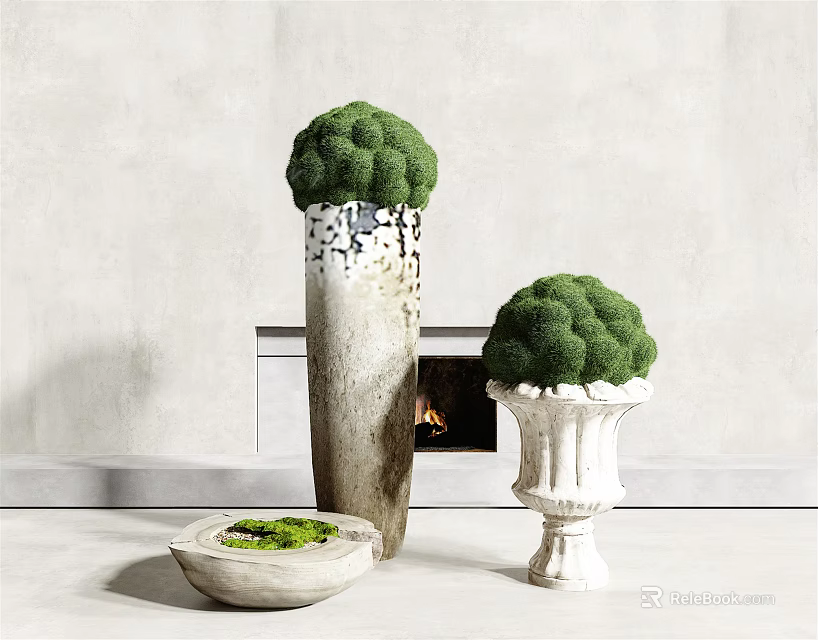 Bonsai Plants In Different Shaped Ceramic Pots With Moss For Modern Interior 3d model 