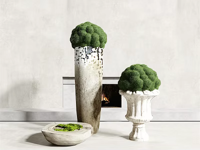 Bonsai Plants In Different Shaped Ceramic Pots With Moss For Modern Interior 3d model