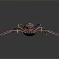Realistic 3D Spider With Long Pink Legs Dark Body And Blue Spots On Dark Background