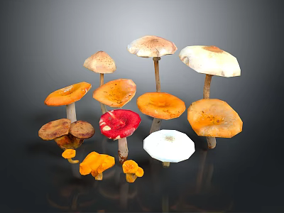 Fresh Wild Mushrooms Variety With Orange Red White Brown Caps And Stems For Culinary Use 3d model