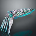 Colorful Striped Squid With Turquoise Tentacles And Purple Patterns On Dark Surface
