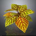 Vibrant Potted Plant With Yellow And Red Striped Leaves For Indoor Decor